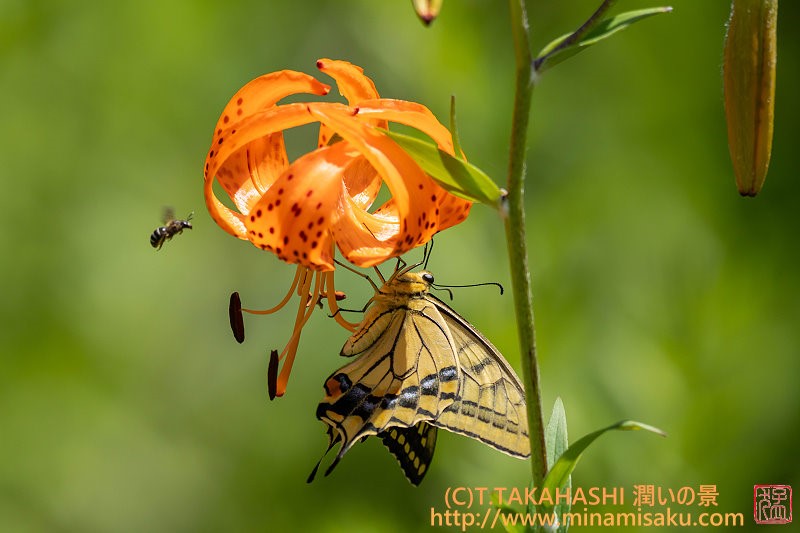 ../Images/7R250721 (53).jpg